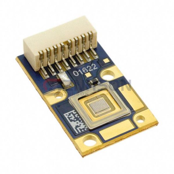 PT-54-B-C21-EPD Preview