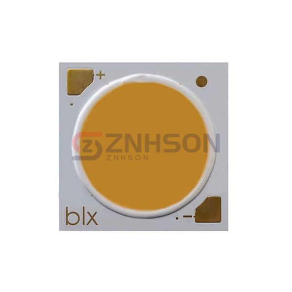 BXRH-30E8000-J-23 Preview