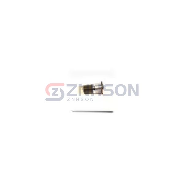 095-1312-30-203 Preview