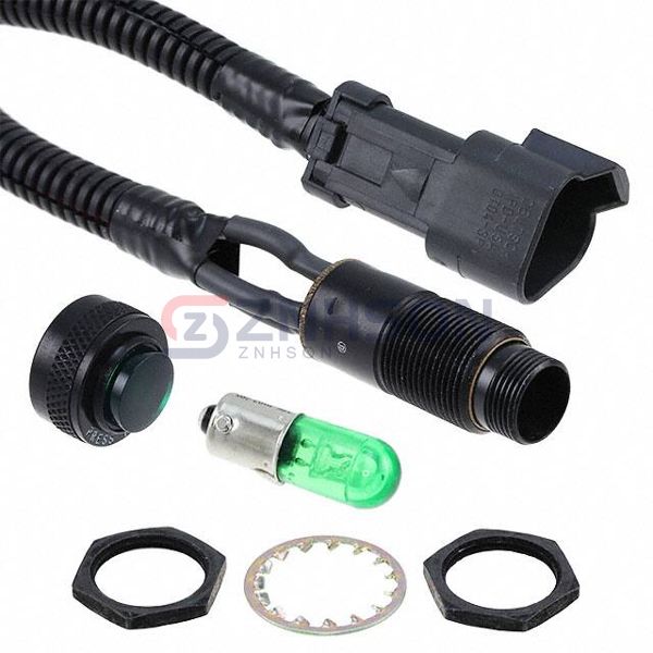 80317100332804 Preview