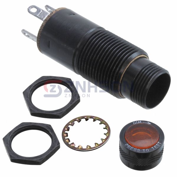 80417100333504 Preview