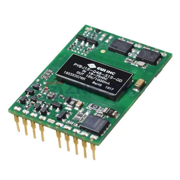 PYBJ15-Q24-S3-OD Preview