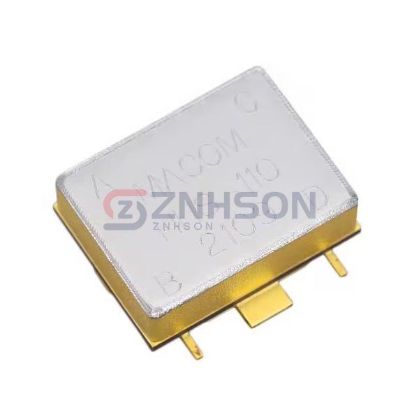 HHS-110-PIN Preview