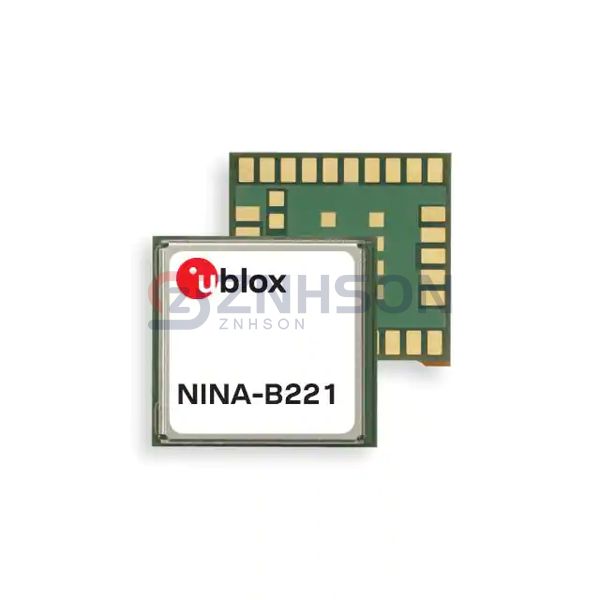 NINA-B222-02B Preview