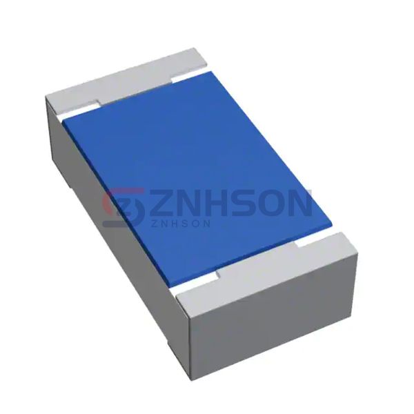 TNPU060312K0BZEN00 Preview