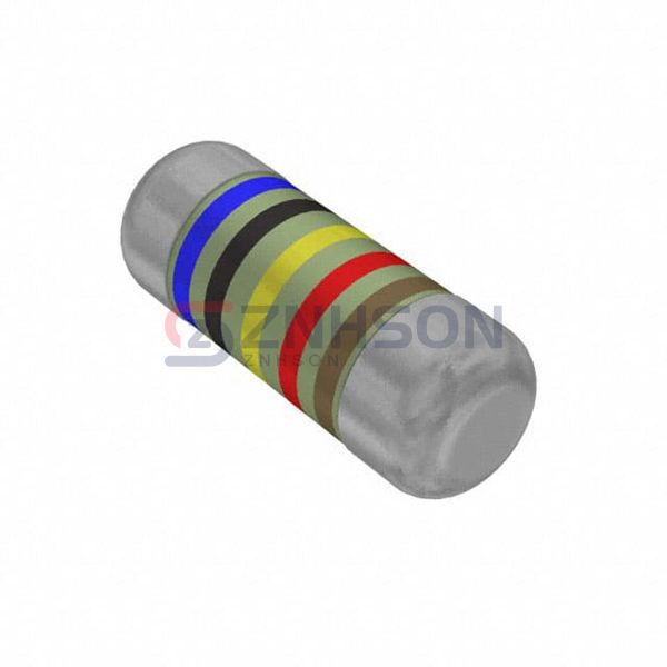 SMM02040C6042FB300 Preview