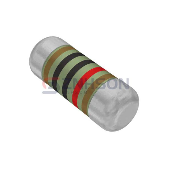 SMM02070C1002FBP00 Preview