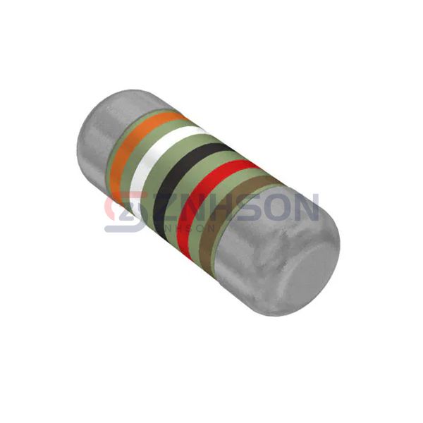 SMM02040C3902FB000 Preview