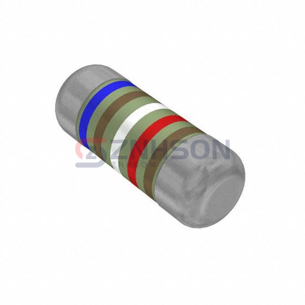 SMM02040C6192FB300 Preview