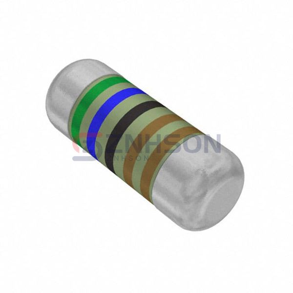 SMM02070C5601FBP00 Preview