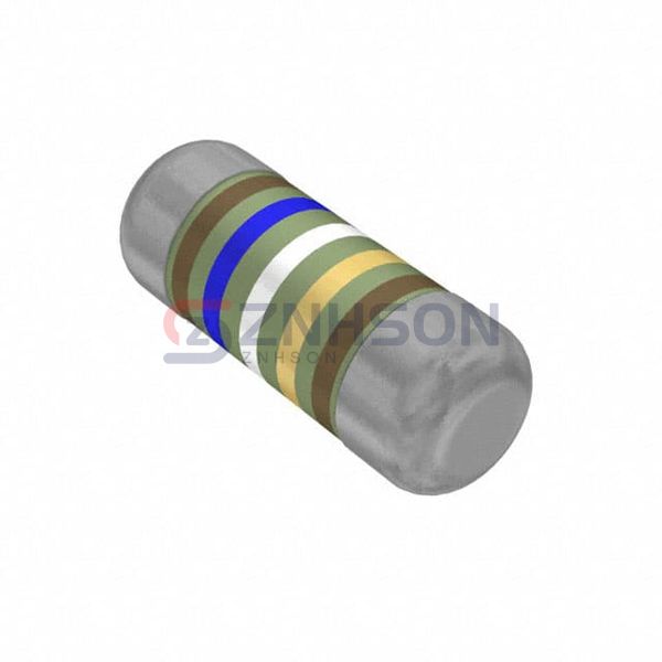 SMM02040C1699FB300 Preview