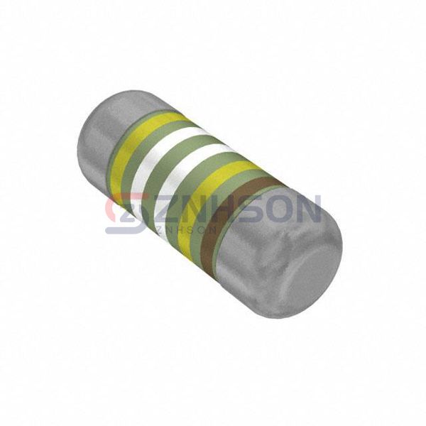 SMM02040C4994FB300 Preview