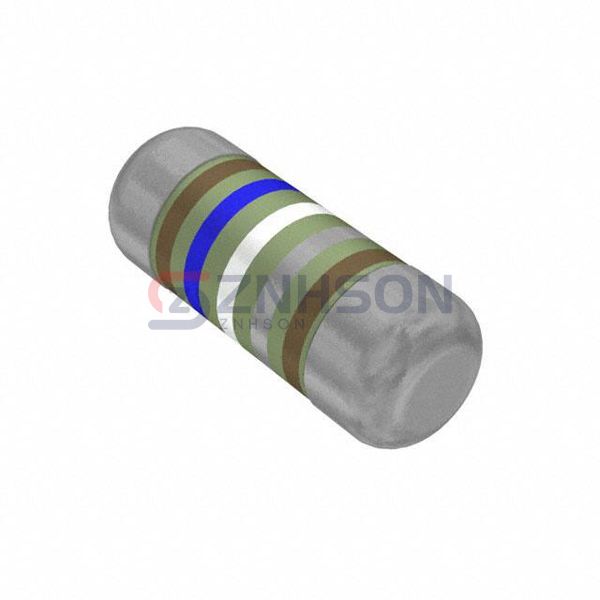 SMM02040C1698FB300 Preview