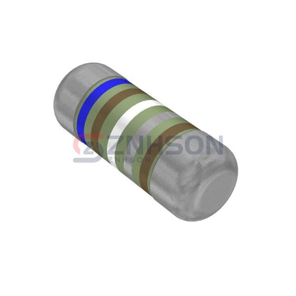 SMM02040C6198FB300 Preview