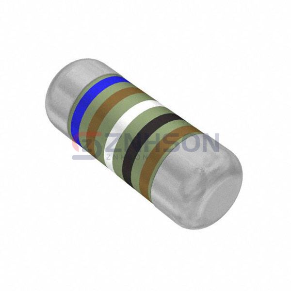 SMM02070C6190FBP00 Preview