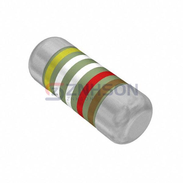 SMM02070C4992FBP00 Preview