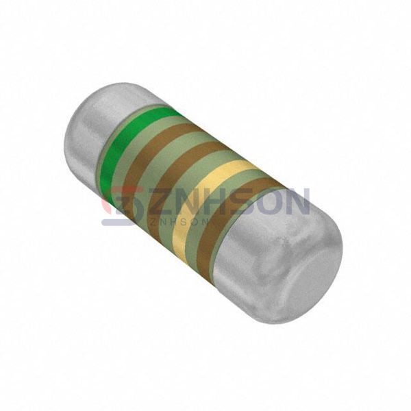 SMM02070C5119FBP00 Preview