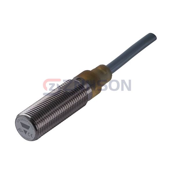 ICB12S30N08PC Preview