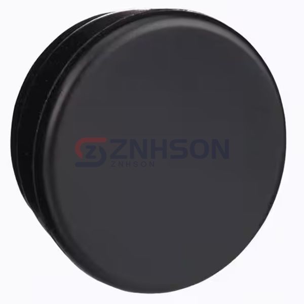 ZB6Y005 Preview