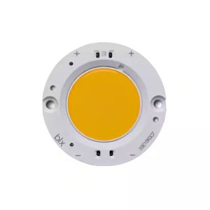 BXRC-30E10K0-C-83-SE